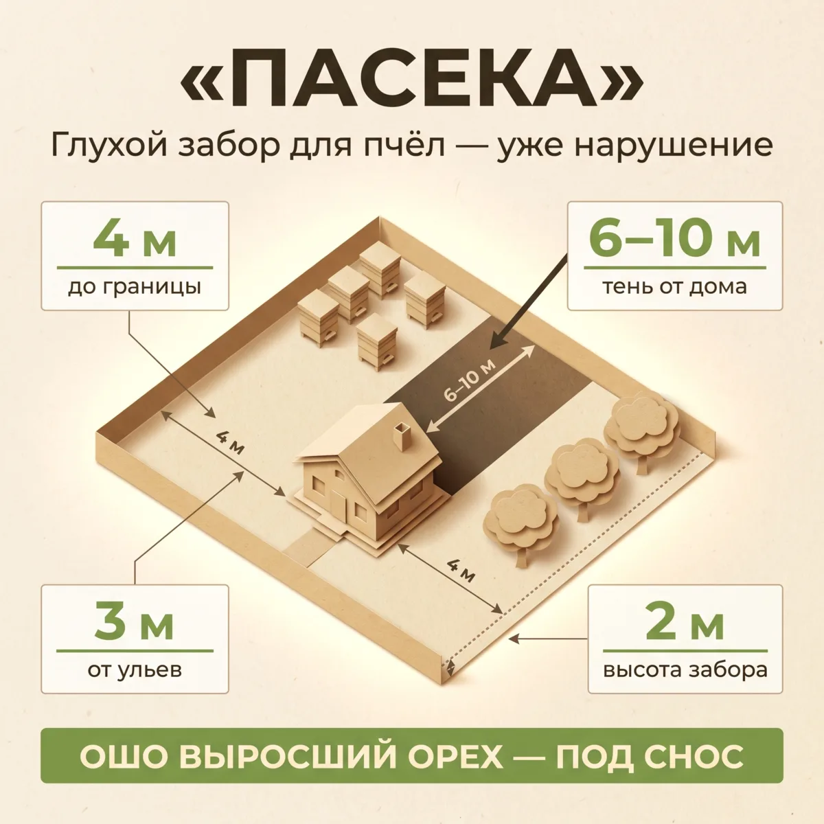 🐝 Пасека и сад у границы: неожиданный источник претензий