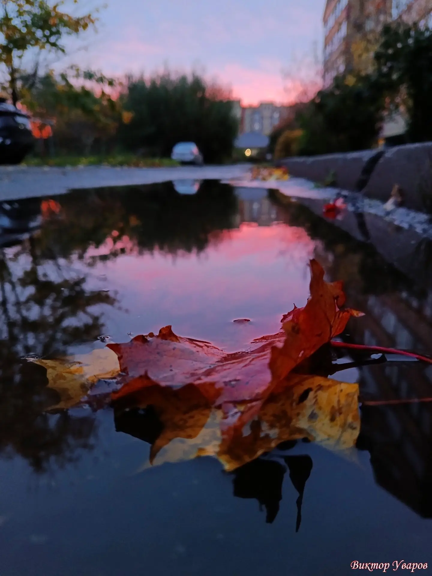 Тихий октябрьский закат 🍁