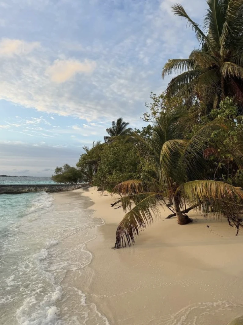 Популярный бюджетный резорт Eriyadu Island Resort полностью обновился, сменил управлени...