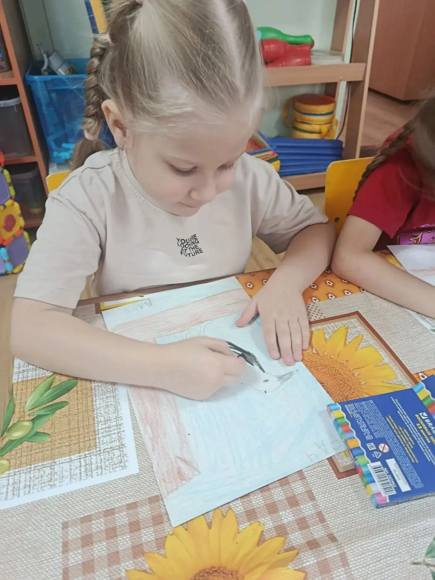 До свидания, перелётные птицы! 🐦