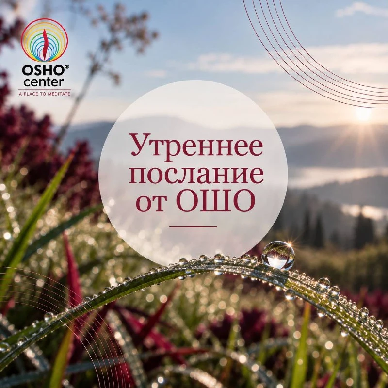 #послание_от_ошо