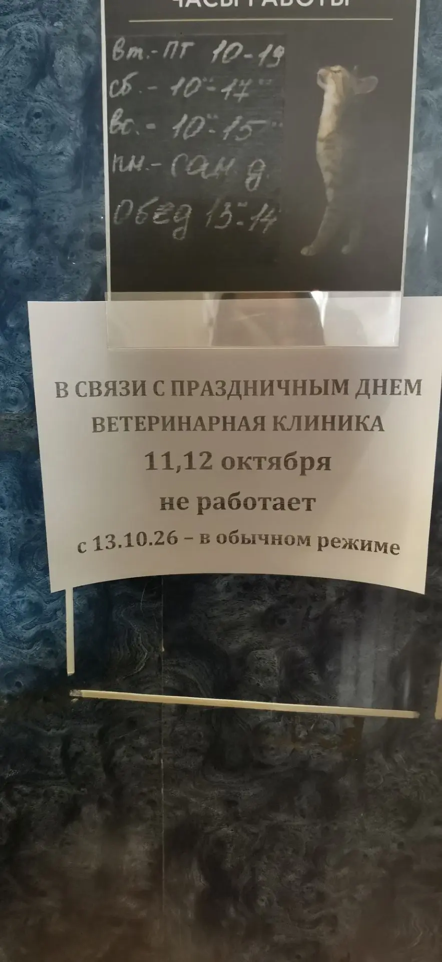 Ветклиника Айболит