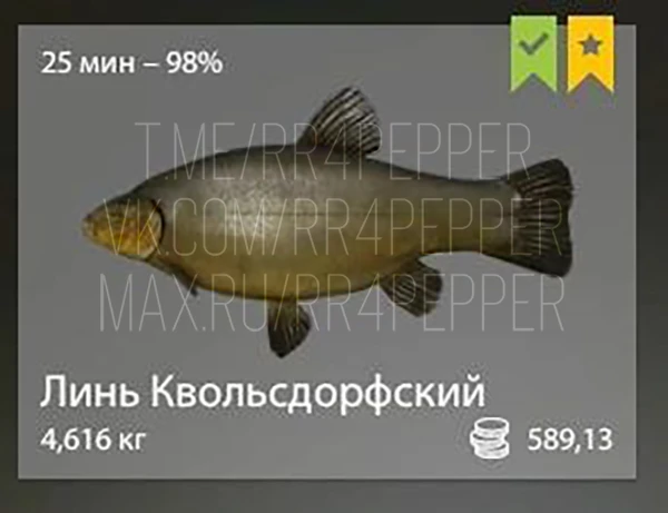 #медное@rr4pepper