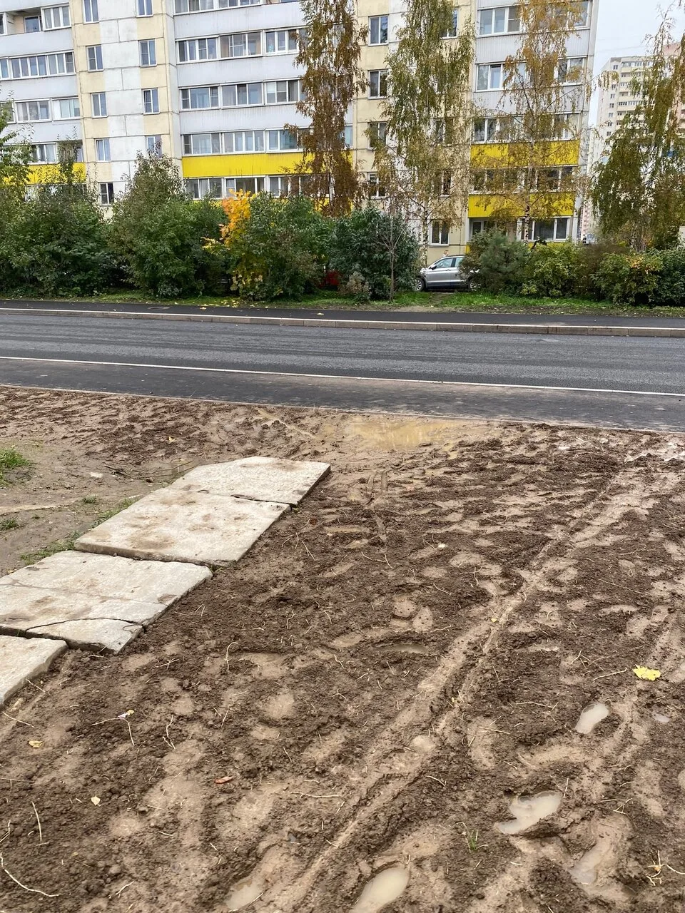 Народные тропы: почему жители идут напрямик, даже когда рядом есть тротуар
