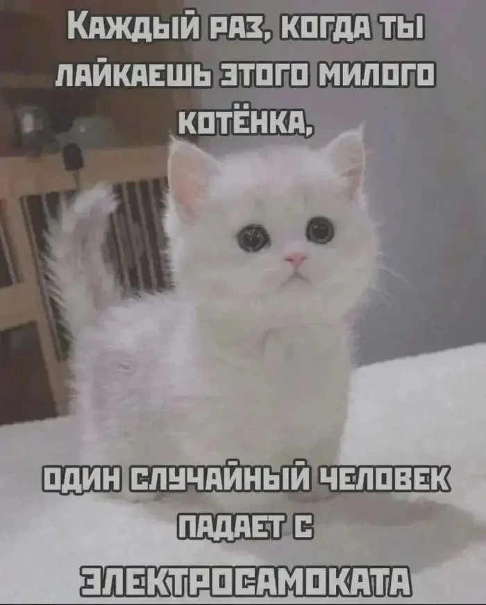 Доброе утро🐱