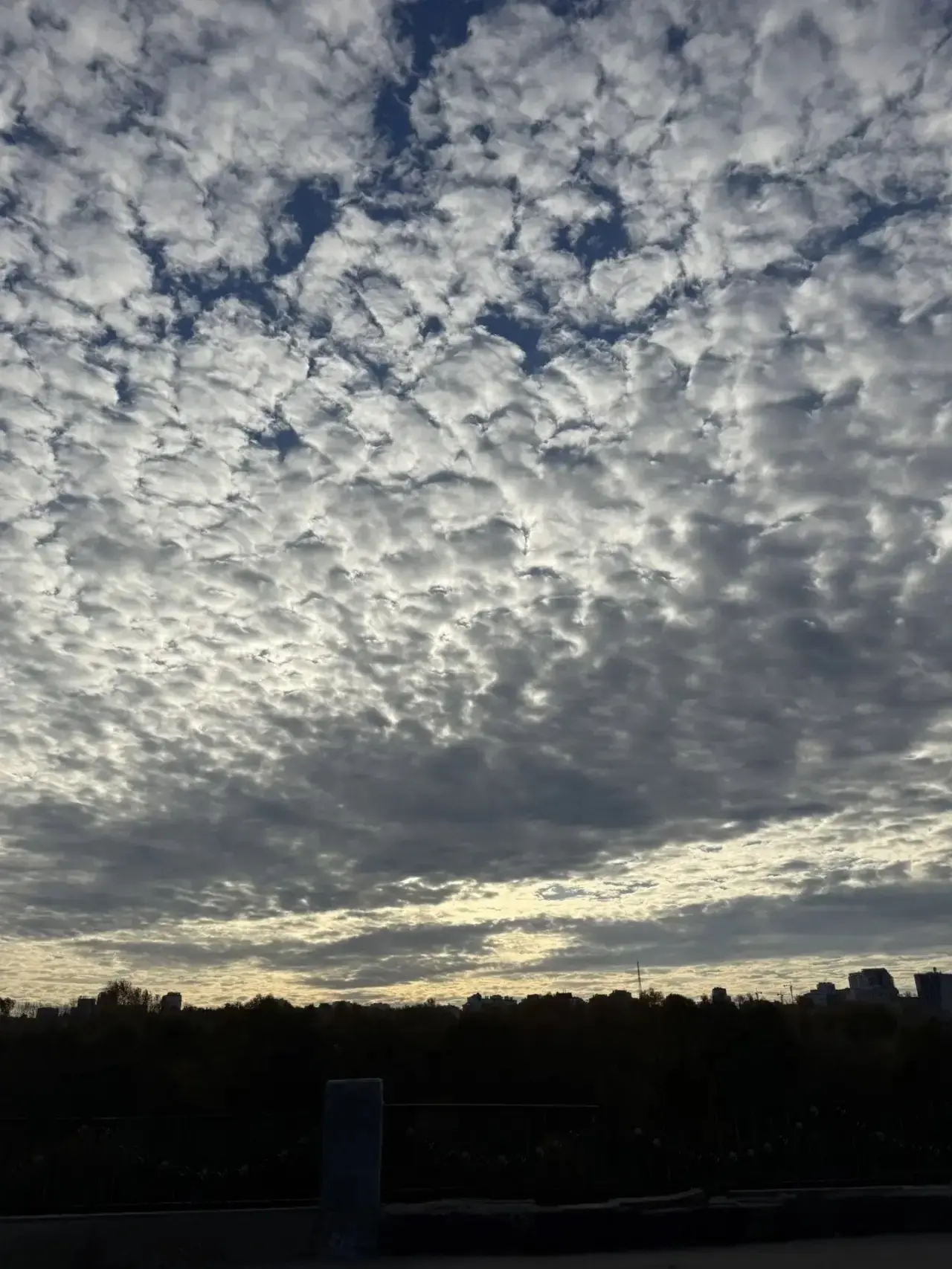 Едем на любимую работу, наслаждаясь красотой утреннего неба 🌥️