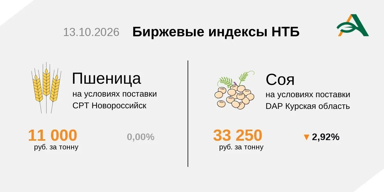 🔸Индексы на пшеницу и сою на Национальной товарной бирже 13 октября.