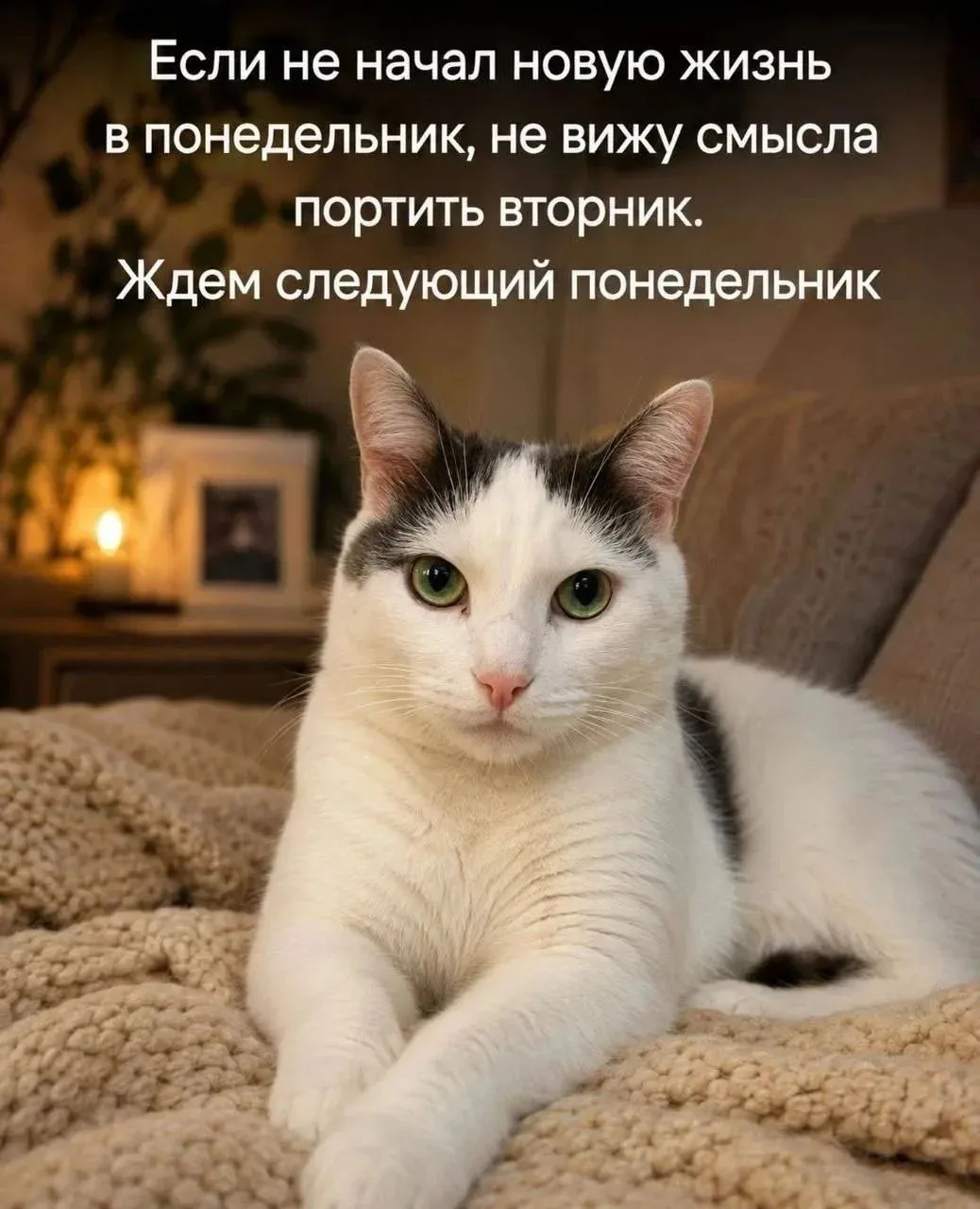 Ладно 😌