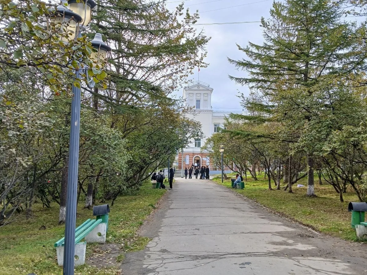 🌳 В центре Магадана планируют создать яблоневую аллею