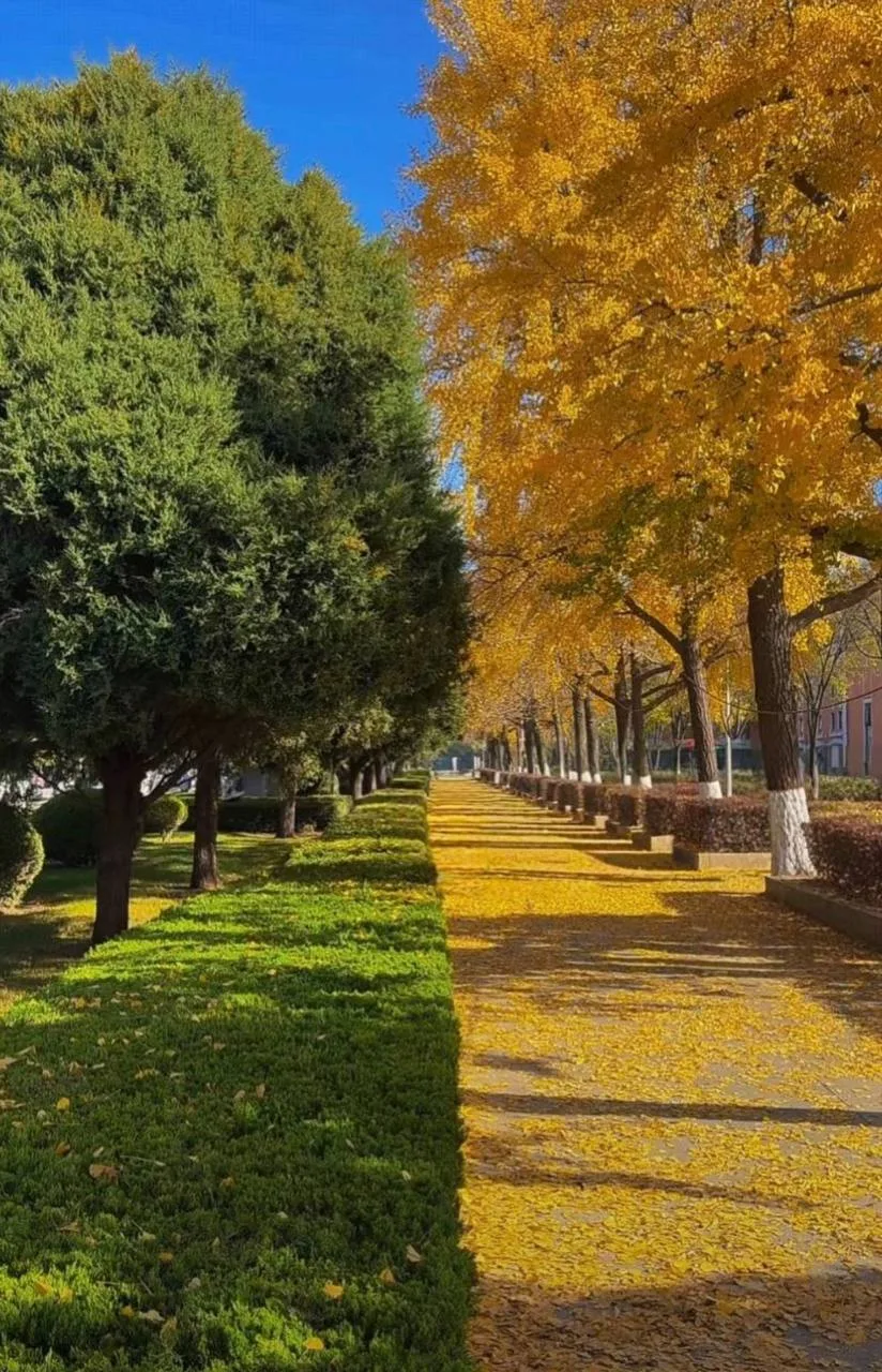 Фотолокация на Народной площади