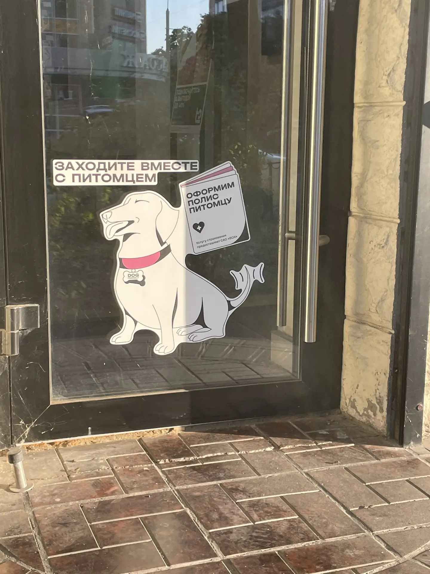 Dog-friendly или питомцам не место?
