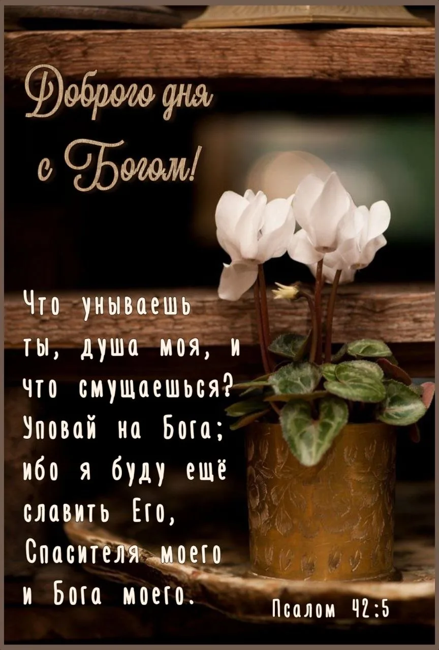 Мира и светлой надежды вашему дому! 🙏 🌸