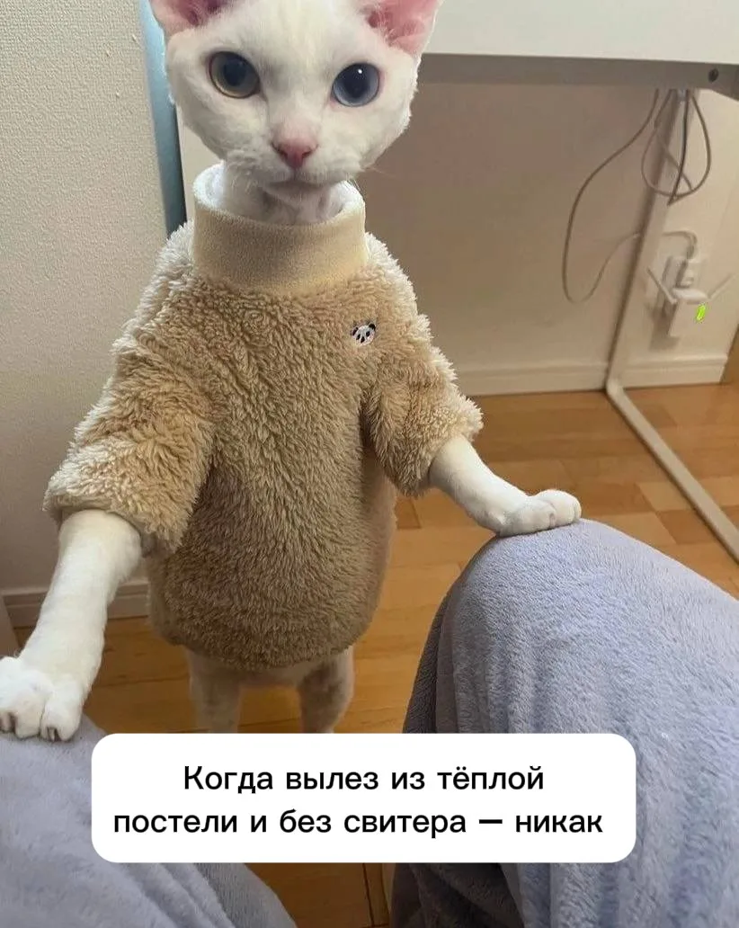 Дождливый день ожидается сегодня в Балашихе 🌨️