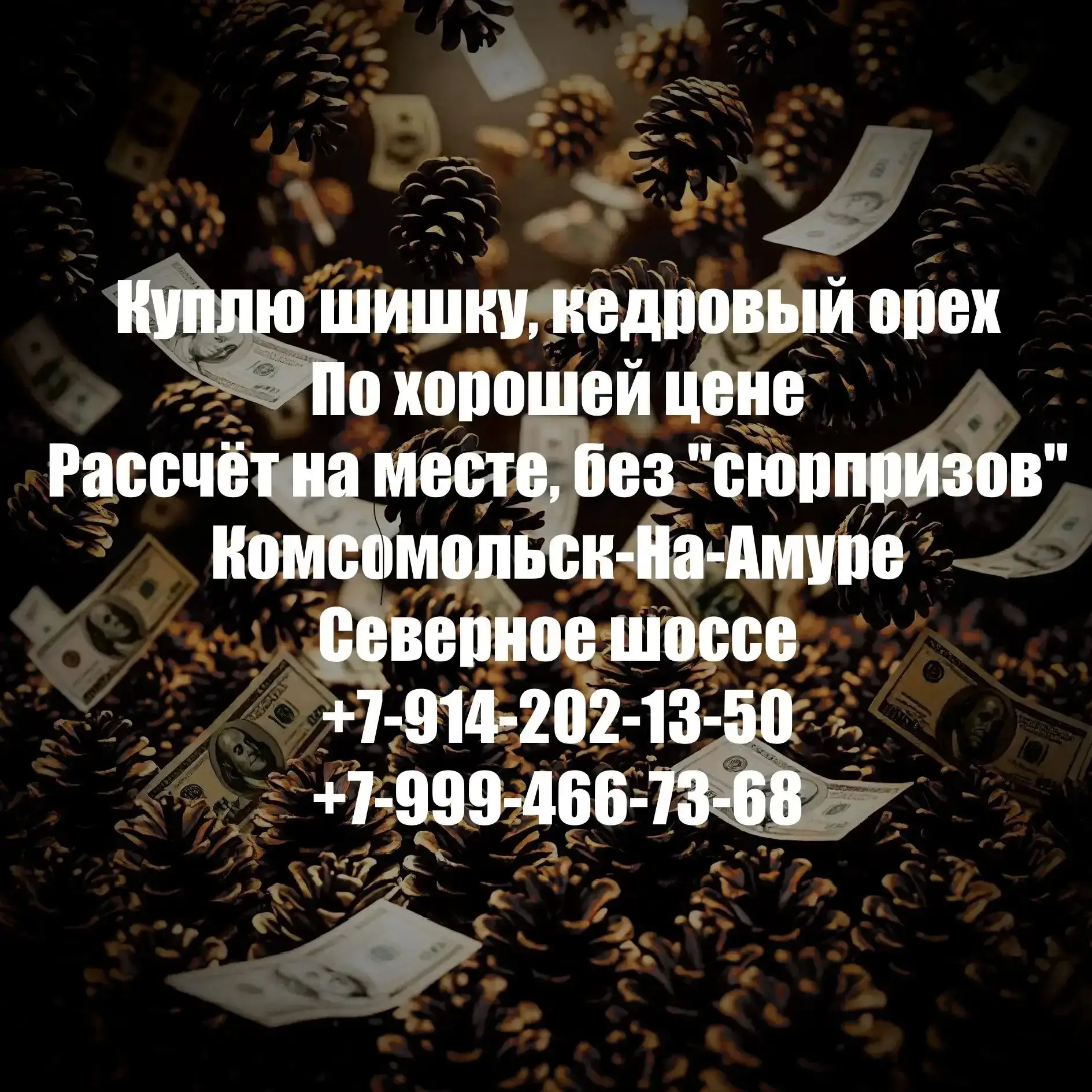 «Куплю шишку / орех»