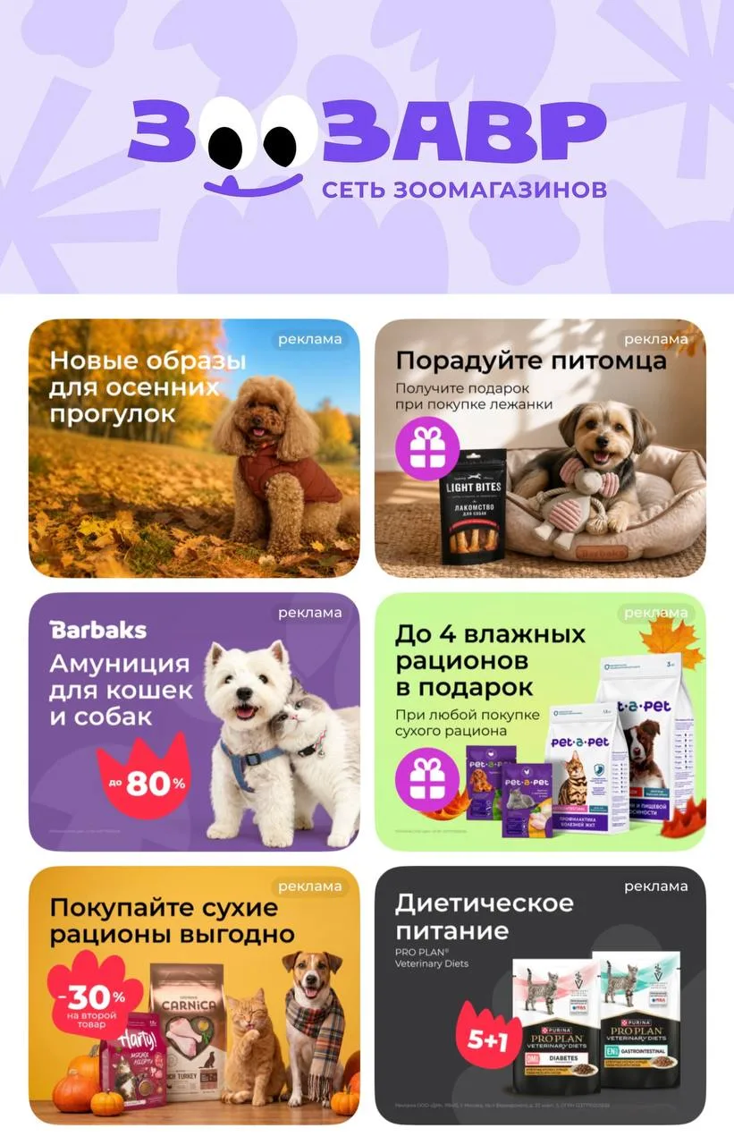 🟣 Зоозавр
