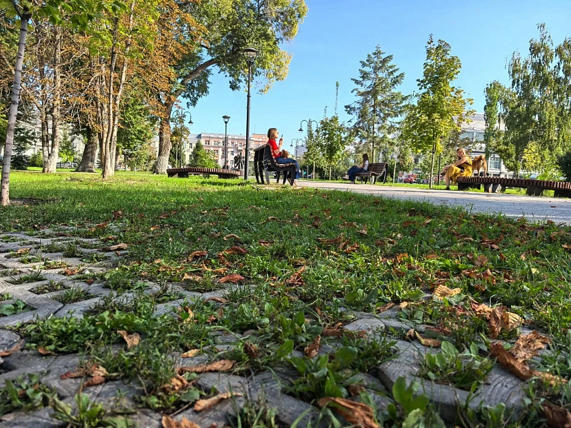 ☀️ В Саратовской области воздух прогреется до плюс 23 градусов