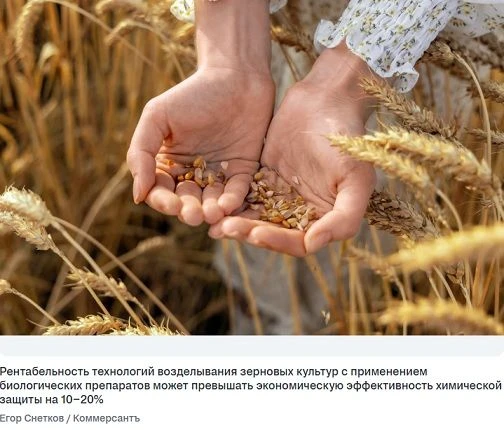 🌱 Земля под «натуралами».