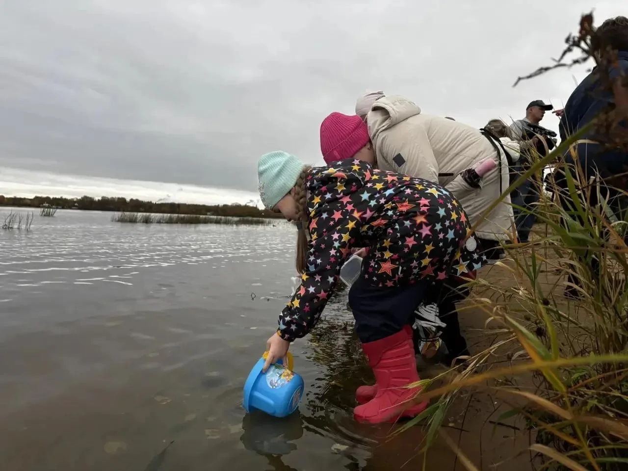 Тысячу мальков сазана выпустили в Волгу 🐟