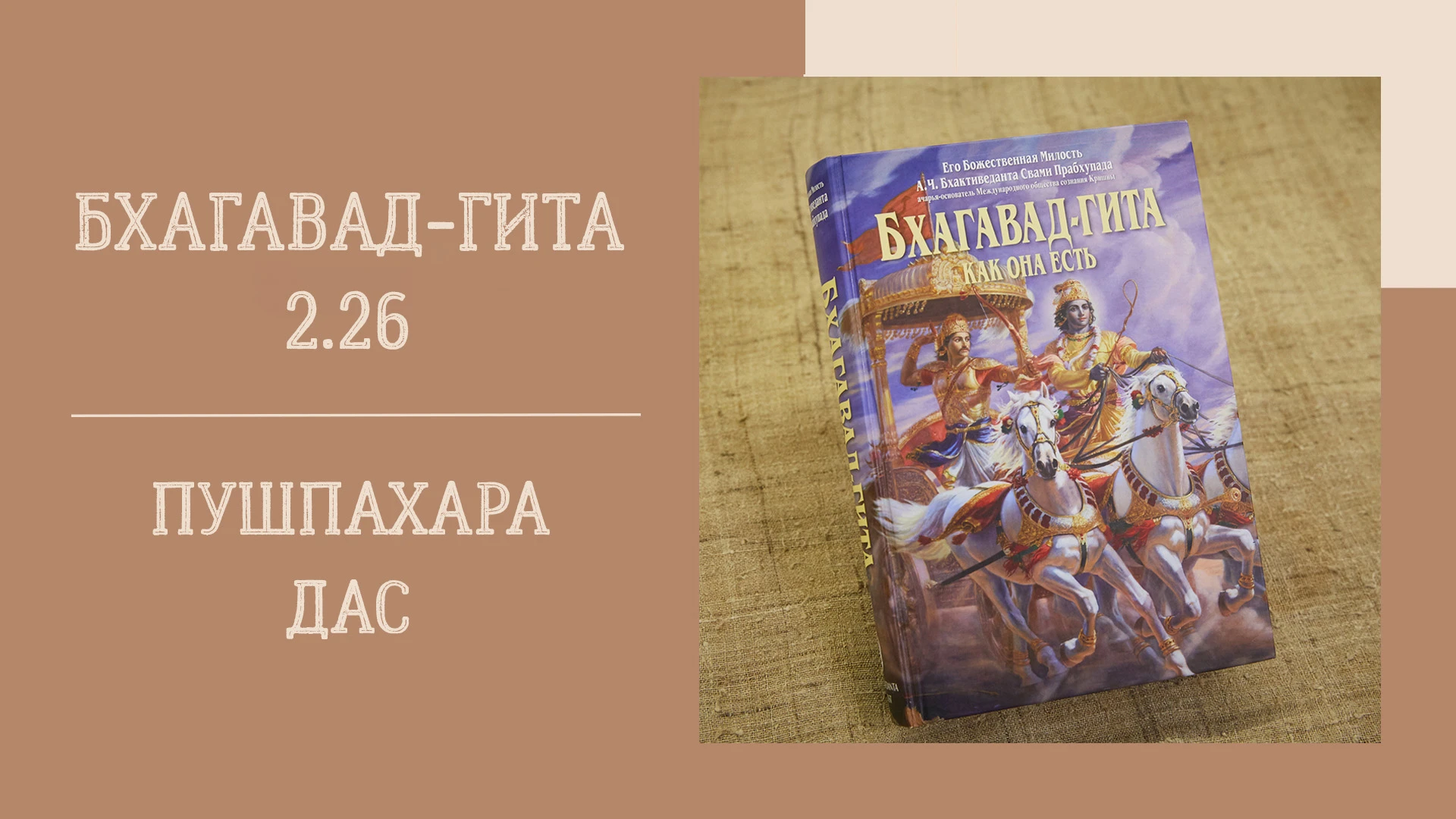 📖 Вечерняя лекция