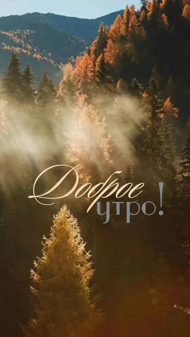 Солнце ☀️ ♥️