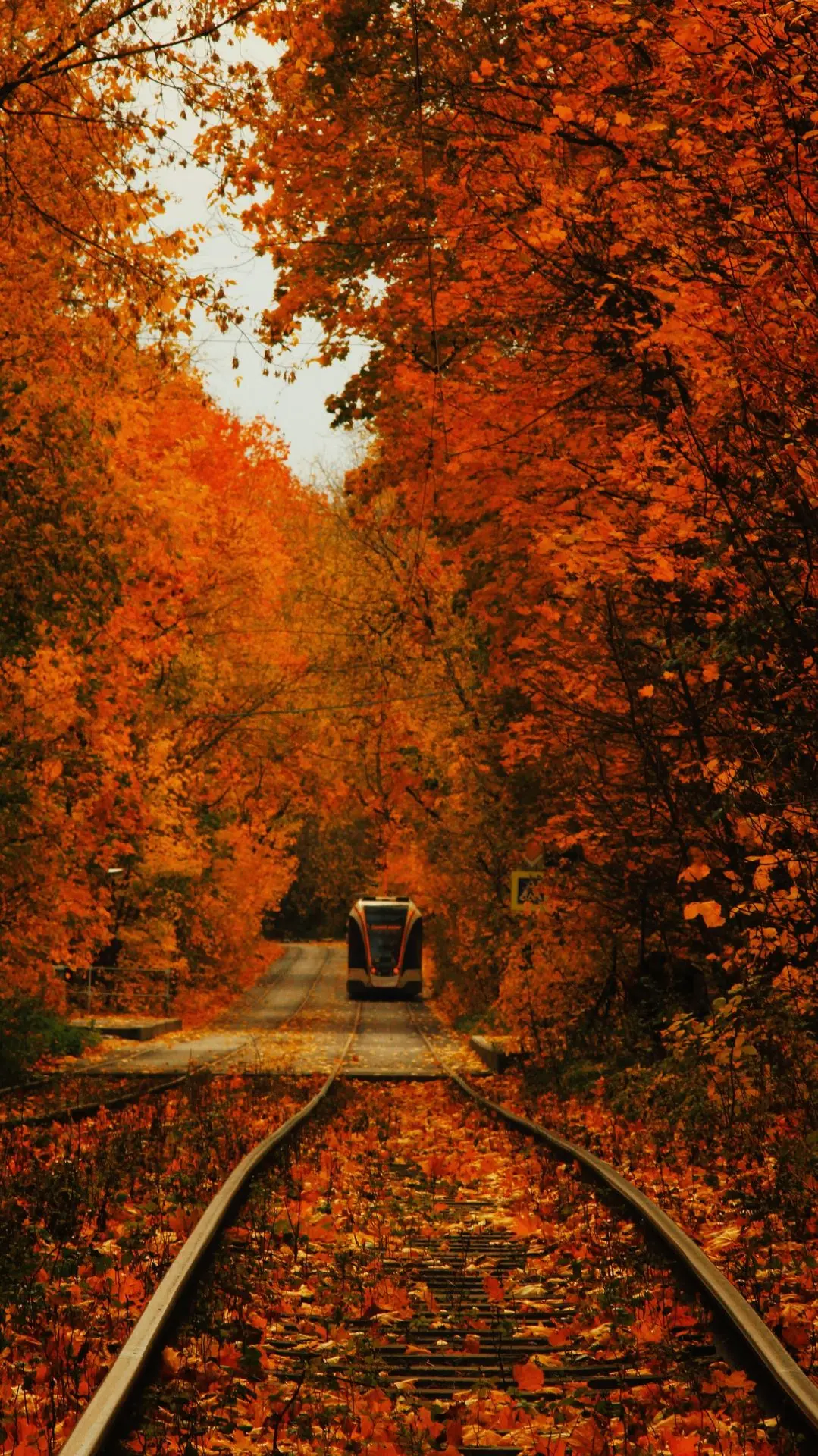Большая Оленья улица 🍁🍂