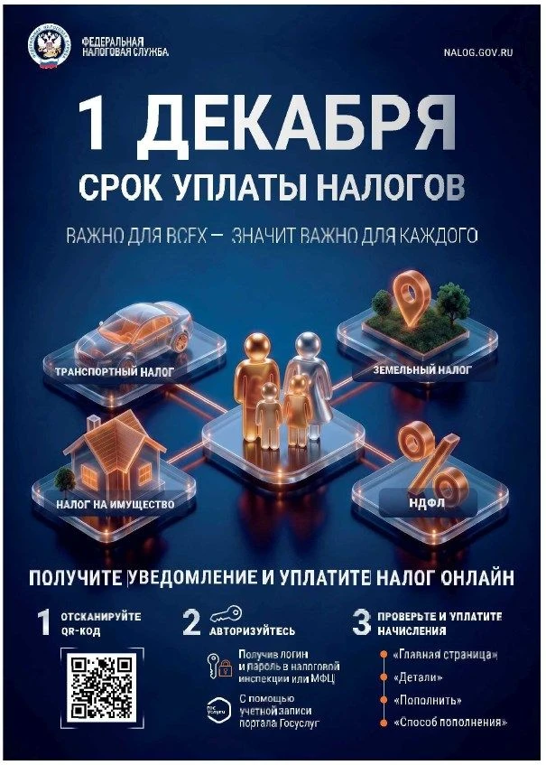 Федеральная налоговая служба напоминает: 1 декабря - срок уплаты налогов