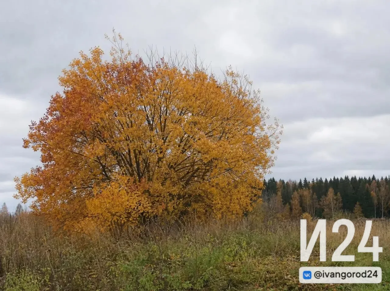 🌥️ Ивангород, доброе утро!