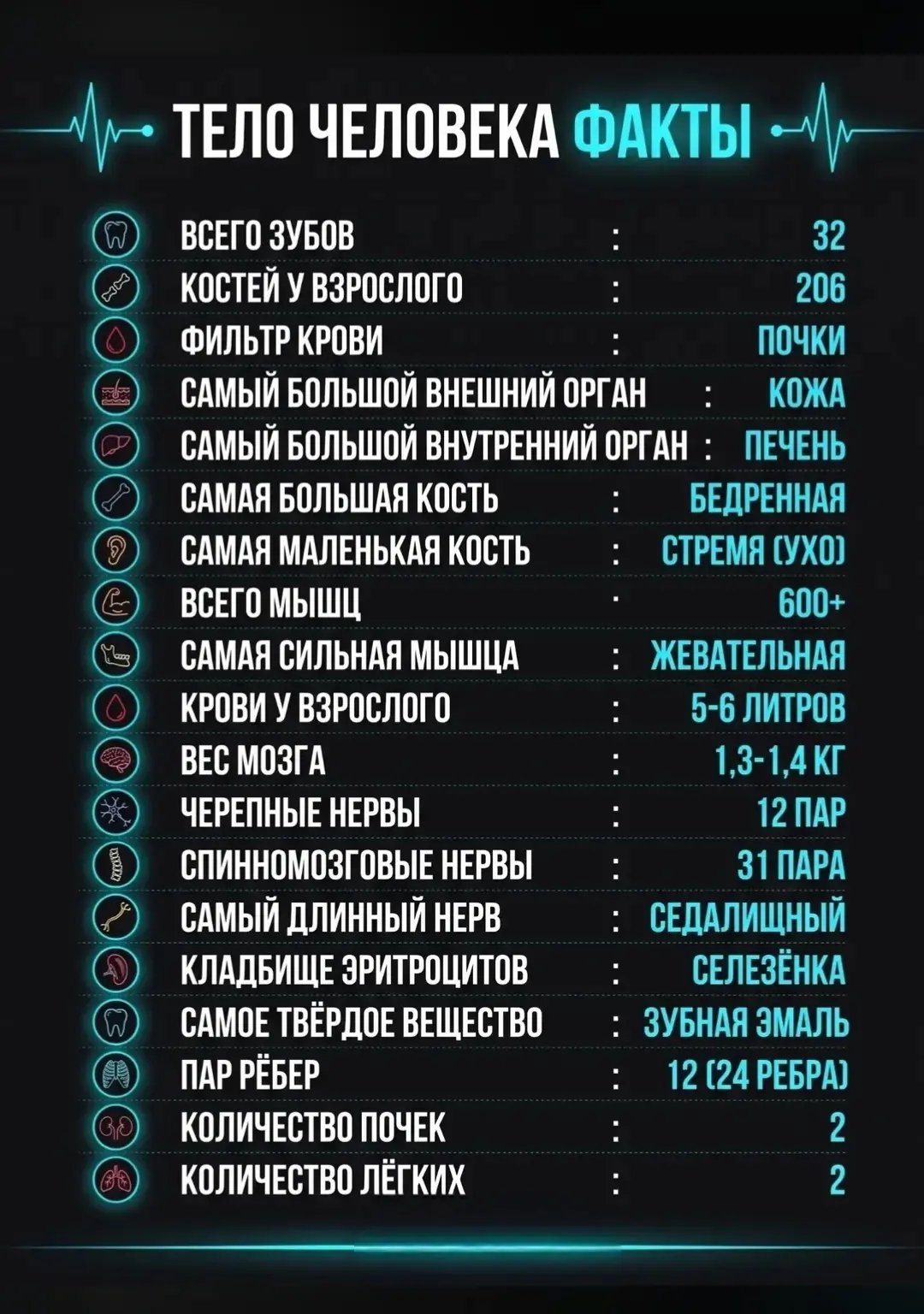 🧠 Водород: маленькая молекула — большая поддержка для организма!