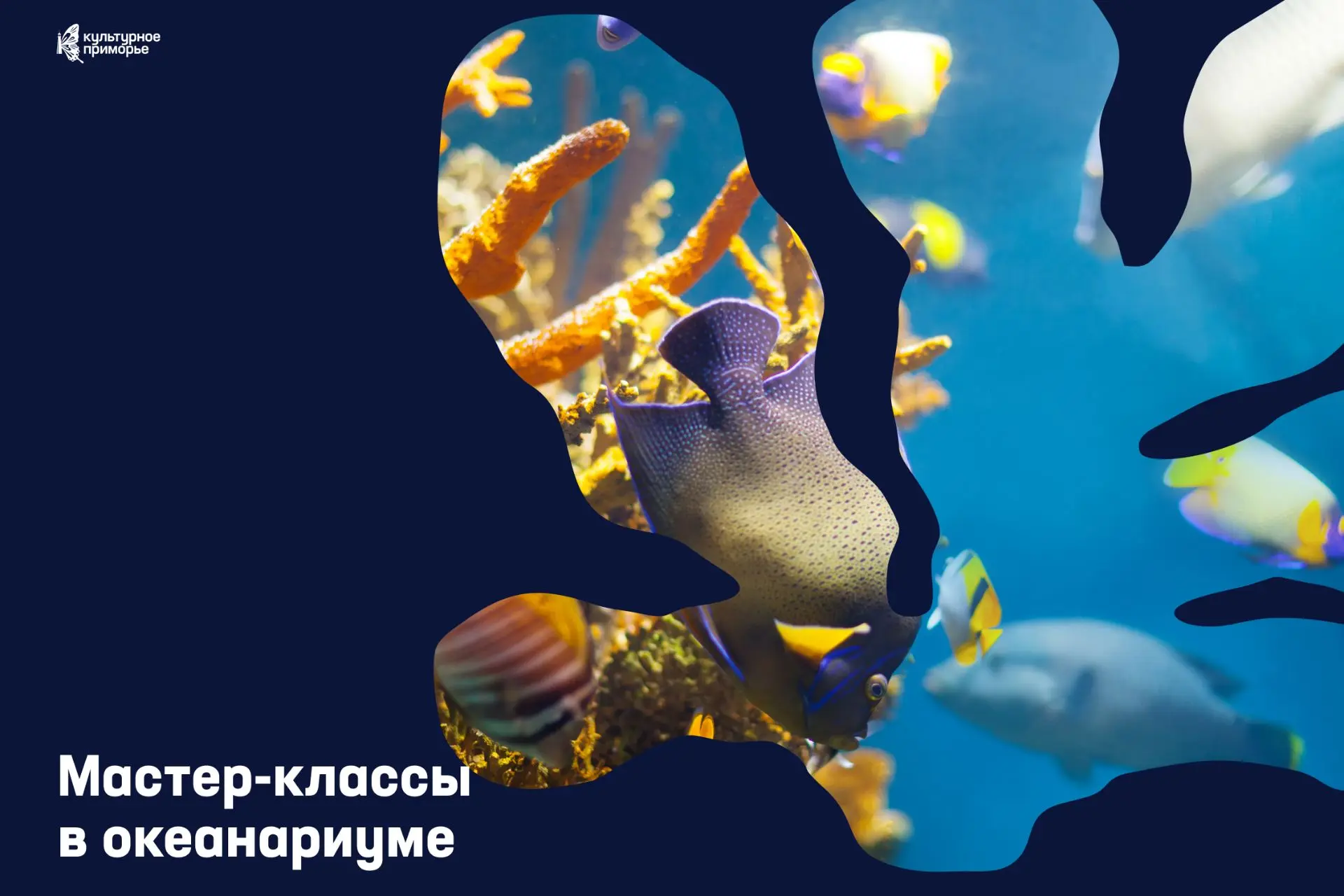 Отправляемся исследовать тайны морских глубин всей семьёй 🌊