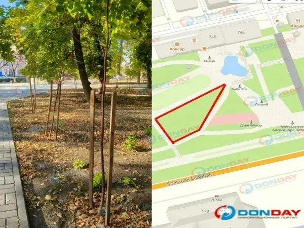 ❗️Жителям Ростова пообещали заменить засохшие в парке 1 Мая саженцы до 30 ноября