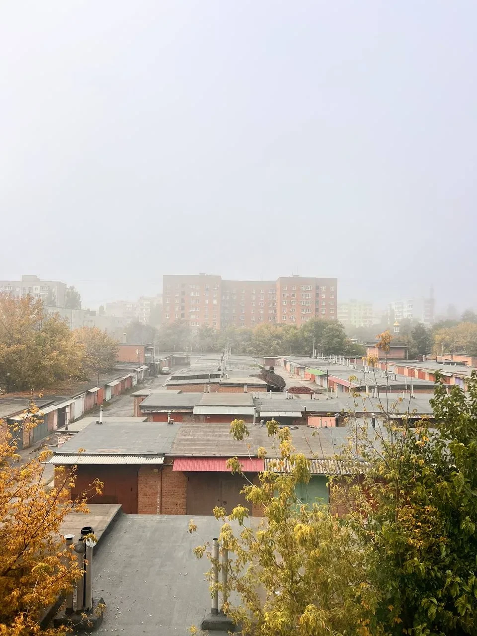 🌫 Таганрог накрыл густой туман