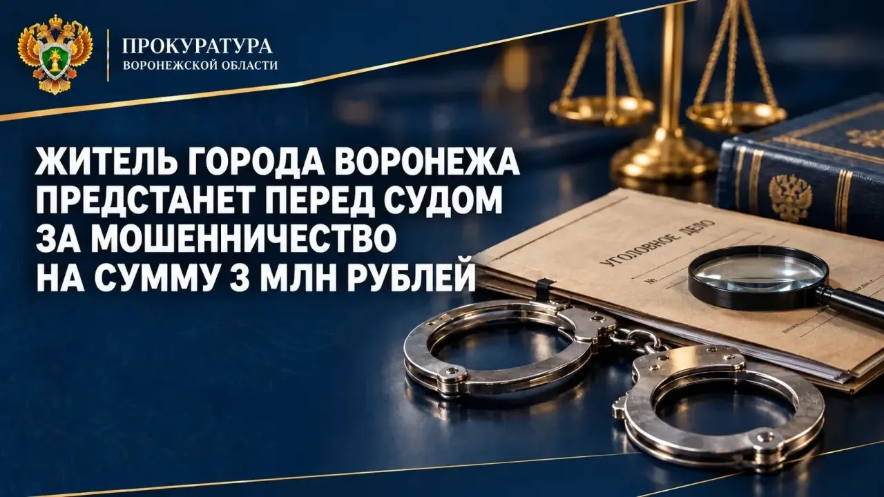 Житель города Воронежа предстанет перед судом за мошенничество на сумму 3 млн рублей