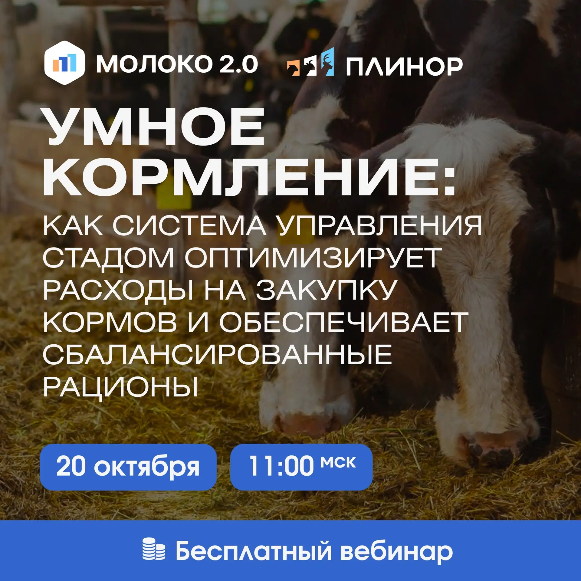 БЕСПЛАТНЫЙ ВЕБИНАР