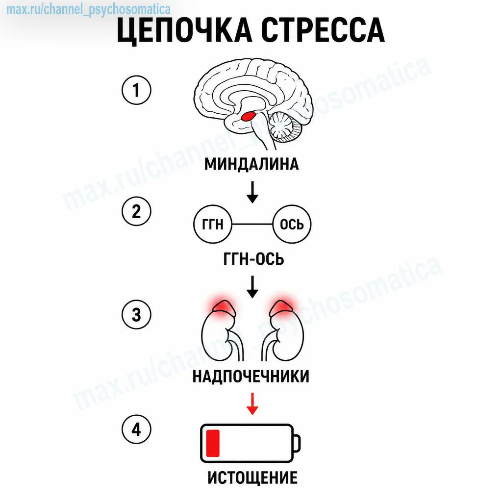 🔬 Почему «да» другим = «нет» себе? Наука о нарушении границ