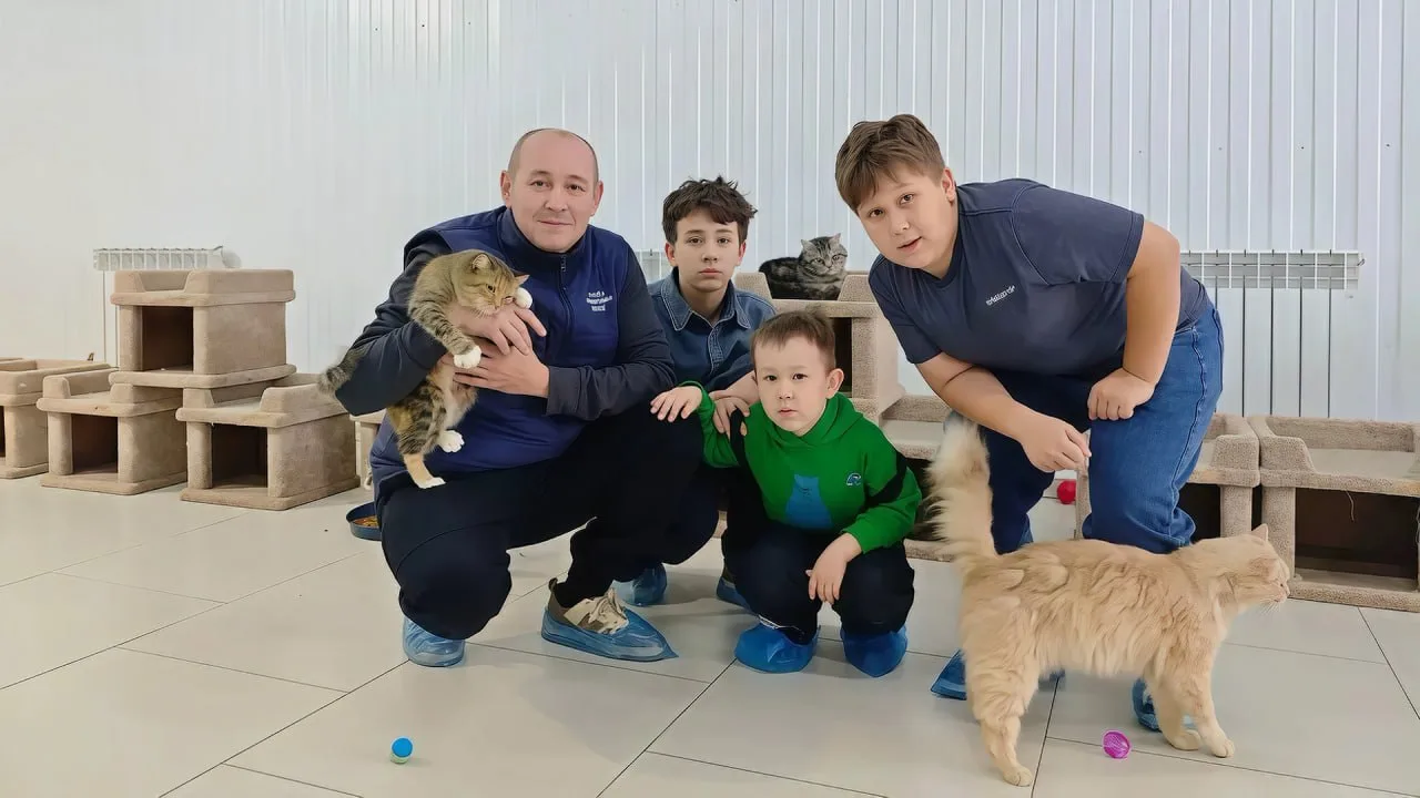 🐾 Более 130 животных на Ямале обрели опекунов