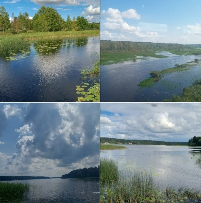 Озеро Череменецкое