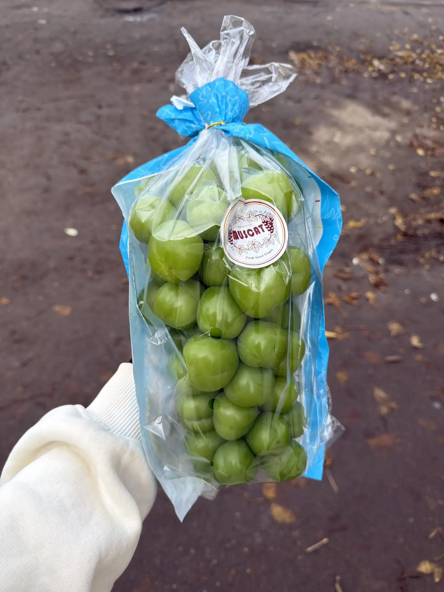 Виноград Мускат