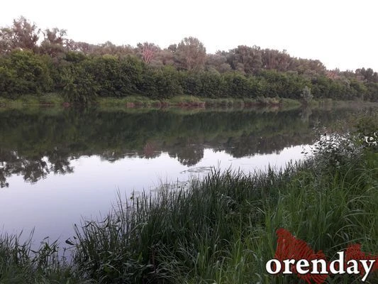 В Оренбурге виновник ДТП с гидроциклом выплатит компенсацию пострадавшему