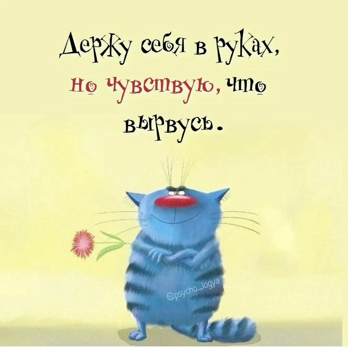 Юмор и открытки на каждый день