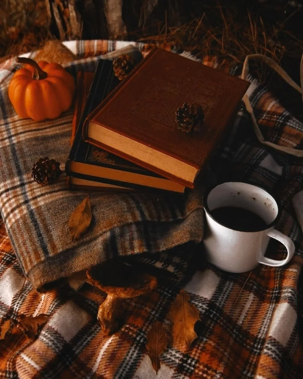 ☕🍂 Октябрь терпеливо учит наблюдать. Неслышно садится рядышком на деревянную скамейку ...