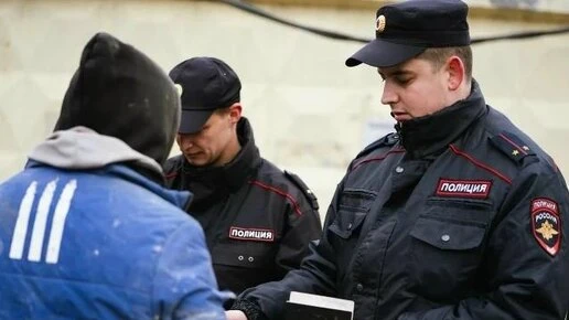 Полиция завела 109 уголовных дел на мигрантов в Челябинской области