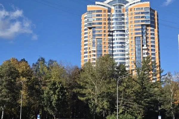 🌿 Осенний пейзаж на Ленинградском проспекте