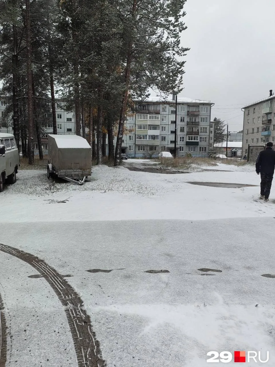 ❄️ В Плесецком округе уже выпал снег.