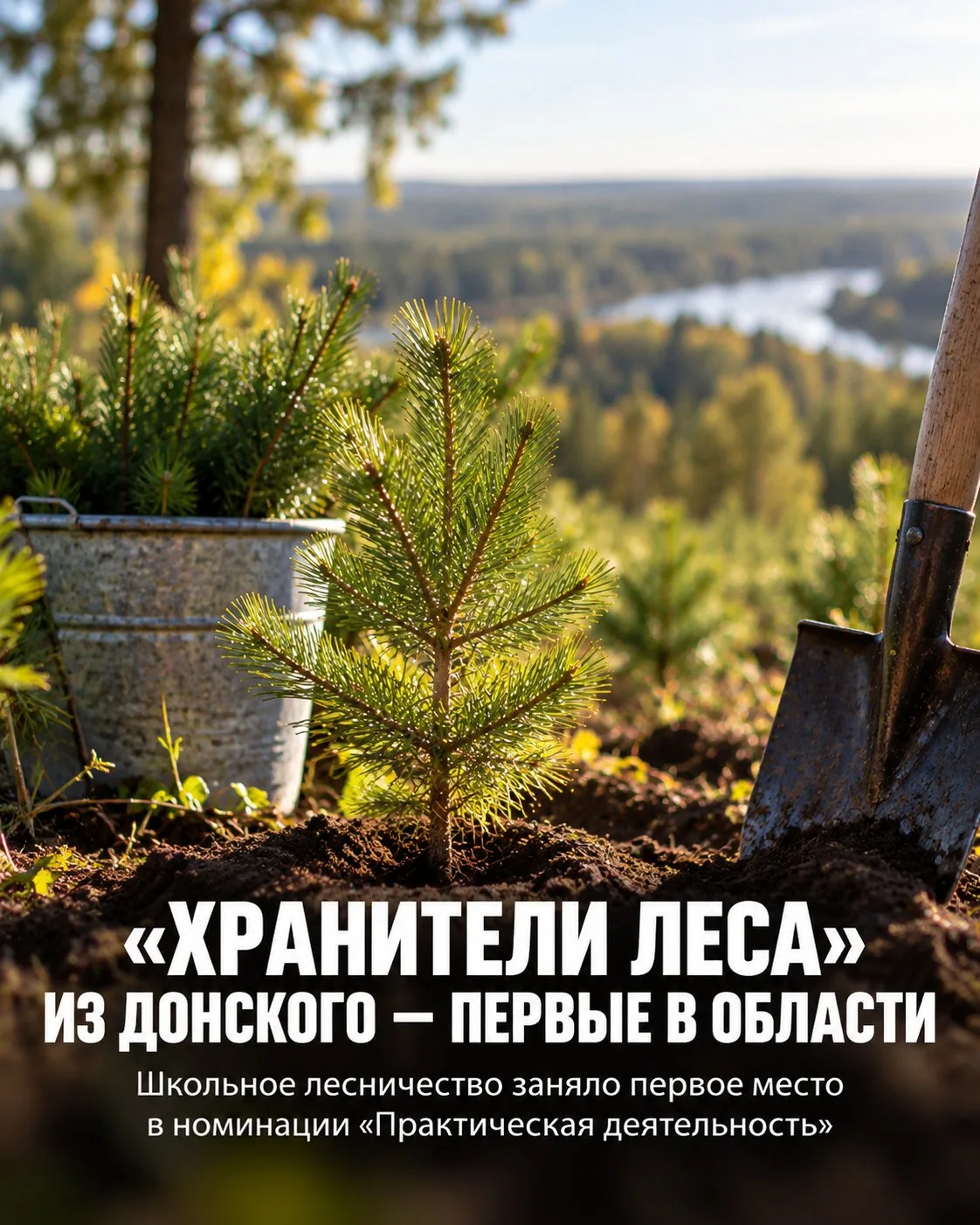🌲 «Хранители леса» из Донского — первые в области