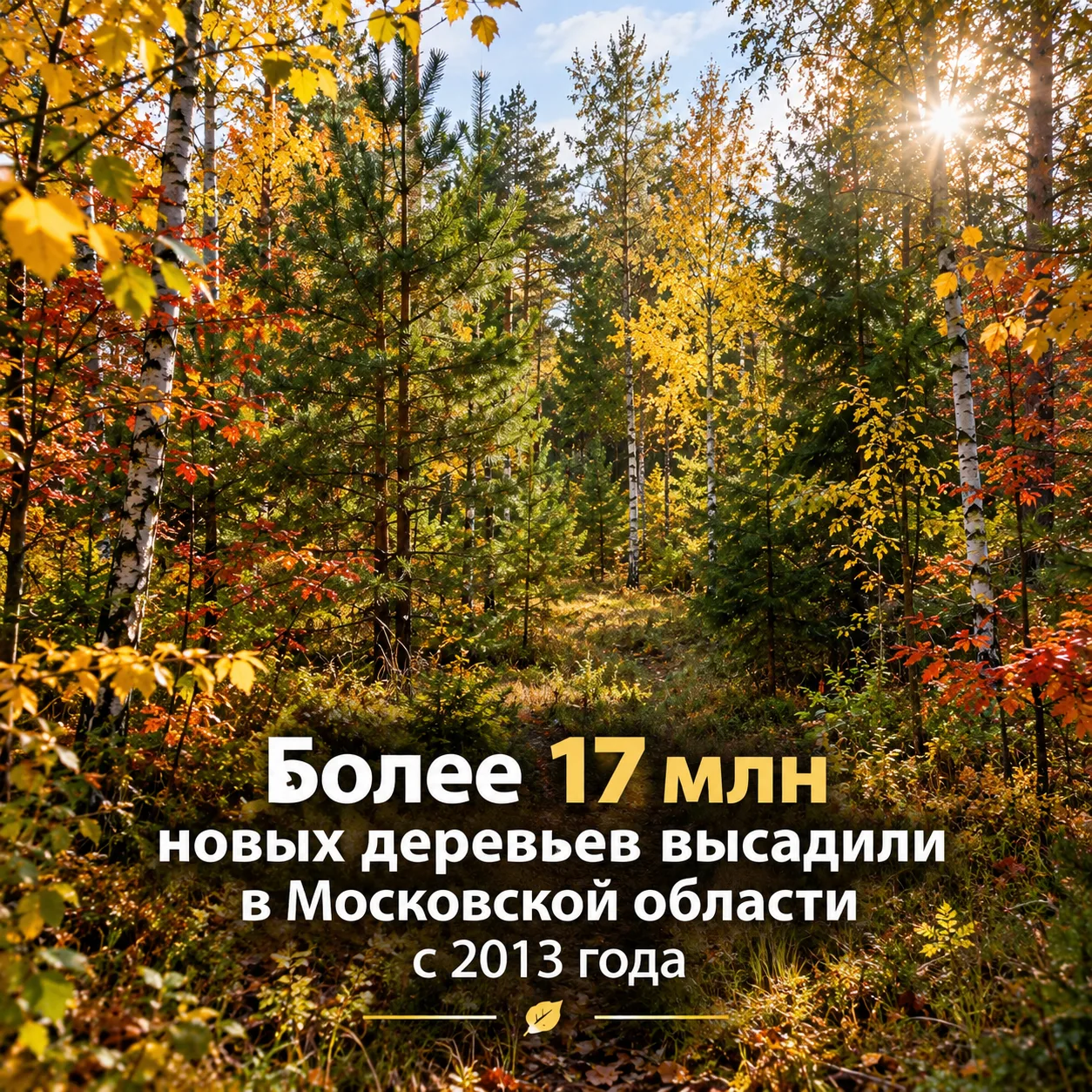 Читайте на WWW.MSK.KP.RU: https://www.msk.kp.ru/daily/277822/5312692/
