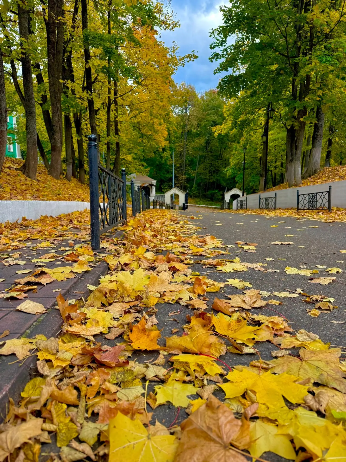 Всем прекраснейшего дня, дорогие подписчики! #звенигород