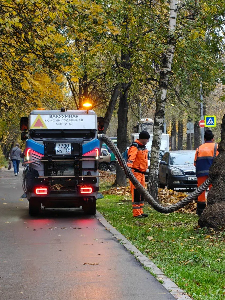 В Москве начали убирать с улиц некрасивые и пылесосить запылившиеся осенние листочки