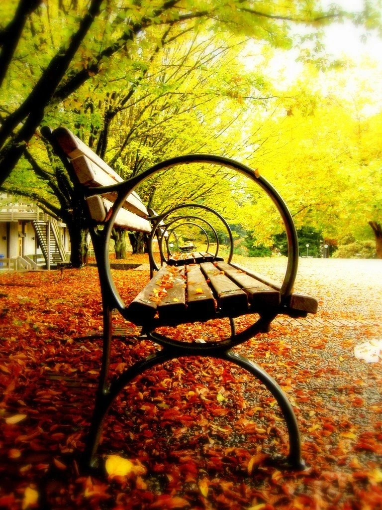 ☀️ Тёплые выходные в Удмуртии — ловим последние осенние деньки! 🍁