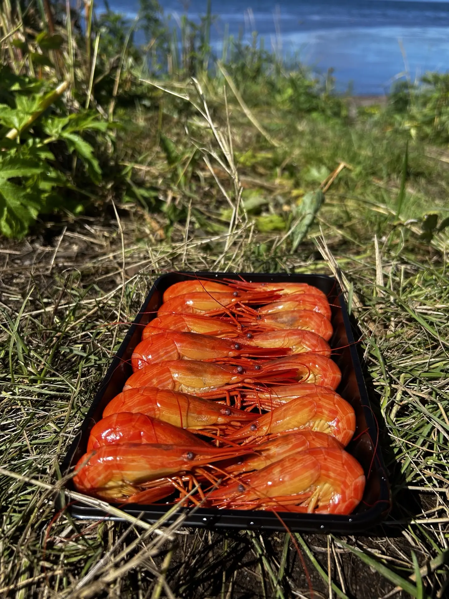Свежая креветка/чилим 🦐🦐🦐