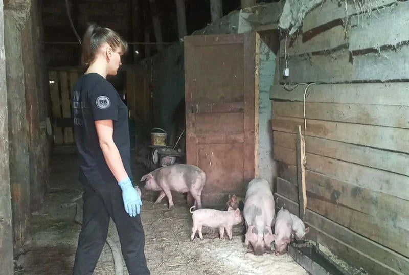 Развивать личное подсобное хозяйство многодетной маме из села Никольское Первомайского ...